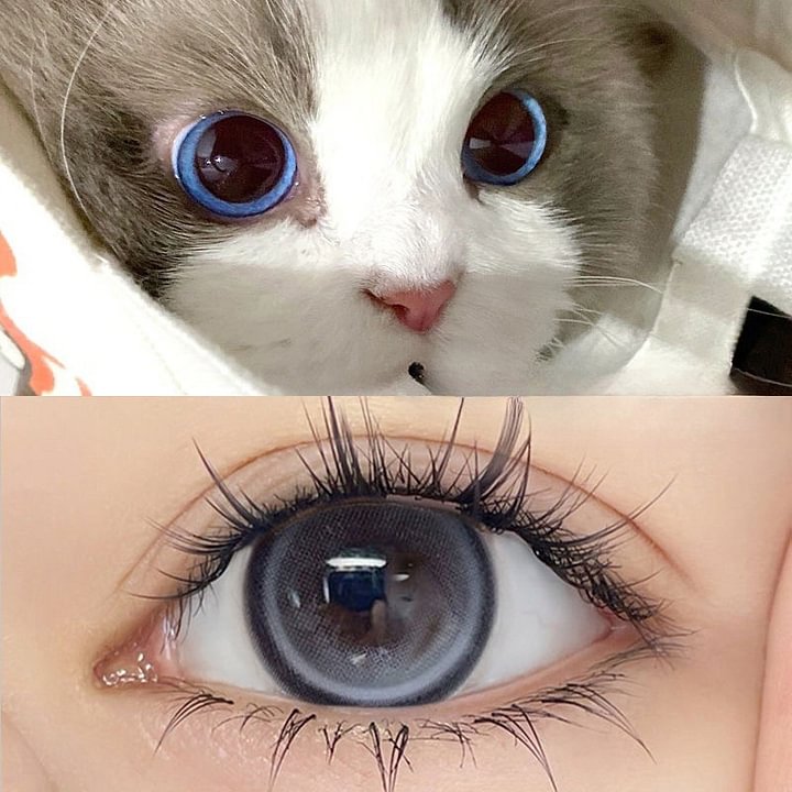Blueberry Contact Lenses(12 months wear)