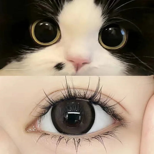 Caramel Mocha Contact Lenses(6 months wear)
