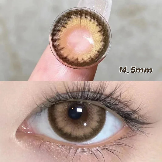 Royal Brown Contact Lenses(12 months wear)