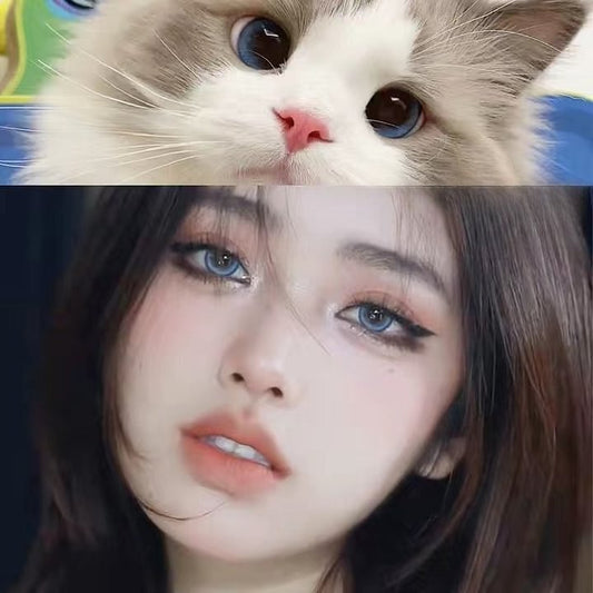 Blueberry Contact Lenses(12 months wear)